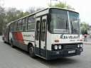 Alba_AOA-304_2.JPG