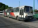 Alba_AOA-304_4.JPG