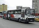 Alba_AOA-309_2.JPG