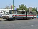 Alba_AOA-315_2.JPG