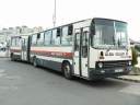 Alba_AOA-318_2.JPG