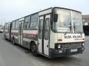 Alba_AOA-444_2.JPG