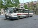 Alba_AOA-444_3.JPG