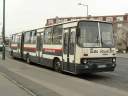Alba_AOA-444_4.JPG
