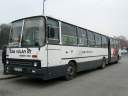 Alba_AOA-452_2.JPG