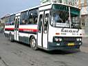 Alba_AZD-323_2.JPG