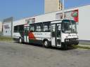 Alba_BOS-786_6.JPG