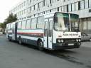 Alba_CCN-169_2.JPG