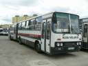 Alba_CCN-169_3.JPG