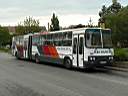 Alba_CCN-169_5.JPG