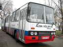 Alba_CCP-797_2.JPG