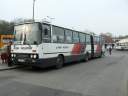 Alba_CCP-797_4.JPG