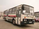 Alba_CLY-148_2.JPG