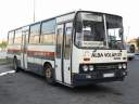 Alba_CLY-148_4.JPG