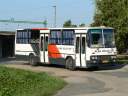 Alba_CLY-149_3.JPG