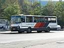 Alba_DUD-025_2.JPG