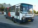 Alba_DUD-496_3.JPG