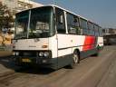 Alba_DUD-497_3.JPG