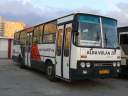 Alba_DUD-497_4.JPG