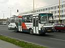 Alba_DUD-497_5.JPG