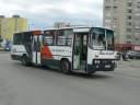 Alba_DUD-498_2.JPG