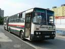 Alba_DUD-766_3.JPG
