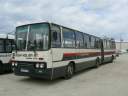Alba_DUD-766_4.JPG