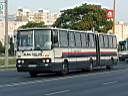 Alba_DUD-767_2.JPG