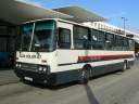 Alba_DUD-885_2.JPG