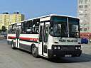 Alba_DUD-885_3.JPG
