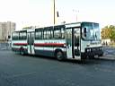 Alba_DUD-885_4.JPG