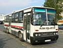Alba_DUD-886_2.JPG
