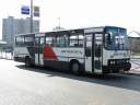 Alba_DUD-886_3.JPG