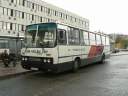 Alba_DUD-886_4.JPG