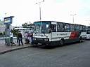 Alba_DUD-886_6.JPG