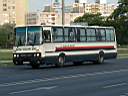 Alba_DUD-887_3.JPG