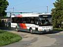 Alba_ELJ-159_5.JPG