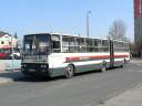Alba_EUE-864_2.JPG
