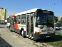 Alba_EWS-494_4.JPG