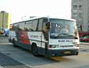 Alba_FAL-252_3.JPG