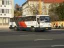 Alba_FAL-253_2.JPG