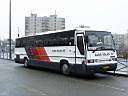 Alba_FAL-253_3.JPG