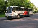 Alba_FAL-254_2.JPG