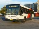 Alba_FKS-236_3.JPG