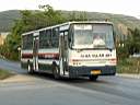 Alba_FSJ-768_2.JPG