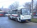 Alba_FSJ-769.JPG