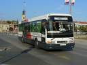 Alba_GLL-121_2.JPG