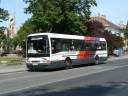 Alba_GLL-121_3.JPG