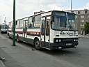 Alba_GMY-395.JPG
