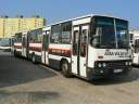 Alba_GMY-396_2.JPG